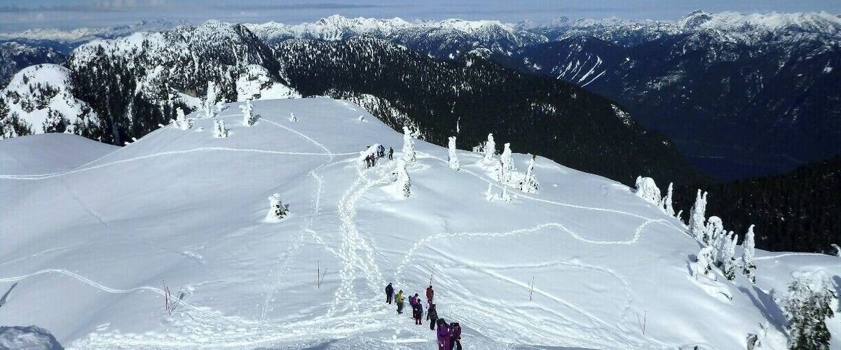 On top of First Peak looking North - lots of great snowshoe trails in the Mount Seymour Provincial Park backcountry.
#snow #snowshoe #canada #vancouver