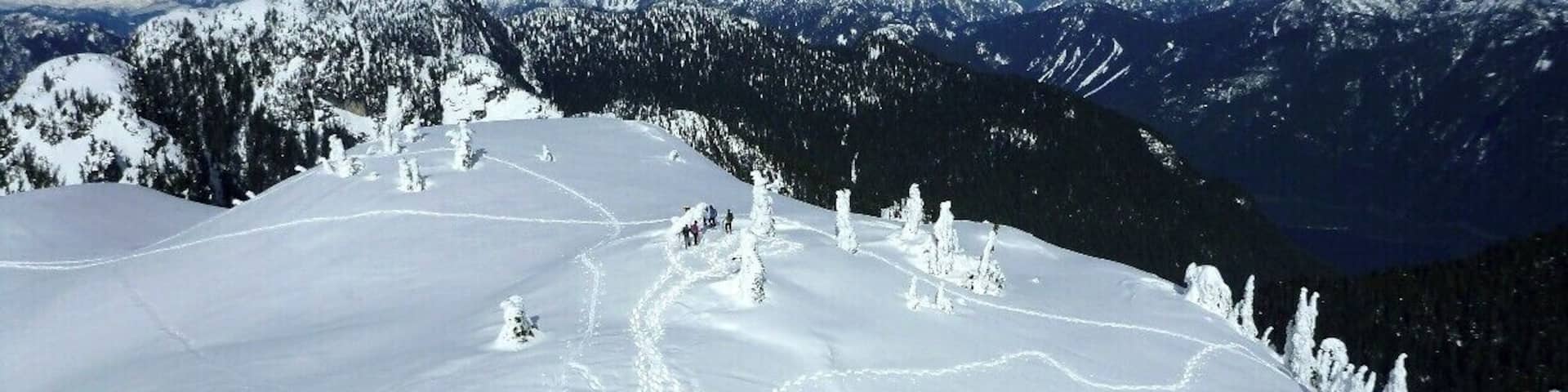 On top of First Peak looking North - lots of great snowshoe trails in the Mount Seymour Provincial Park backcountry.
#snow #snowshoe #canada #vancouver