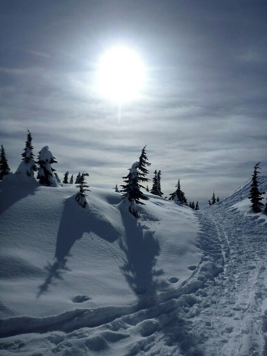 Snowshoeing to First Peak at Mount Seymour Provincial Park.

#snow #snowshoe #vancouver