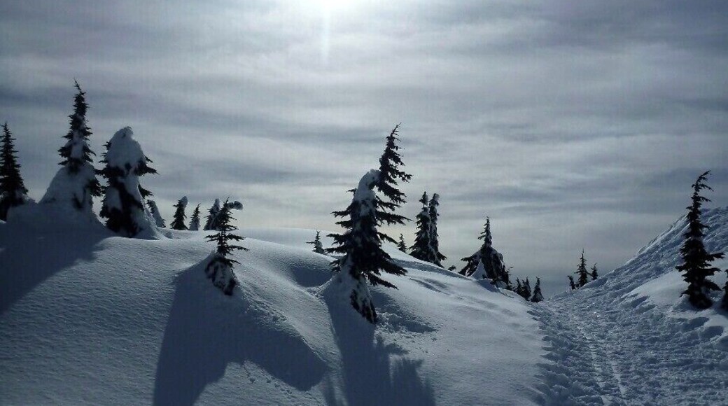 Snowshoeing to First Peak at Mount Seymour Provincial Park.
#snow #snowshoe #vancouver