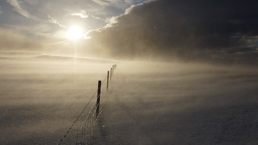 And then the snow arrived. The weather can change so quickly - this appeared in a matter of minutes. I could literally see it coming down the mountainside. It lasted for about 15-20 minutes and then it was done.