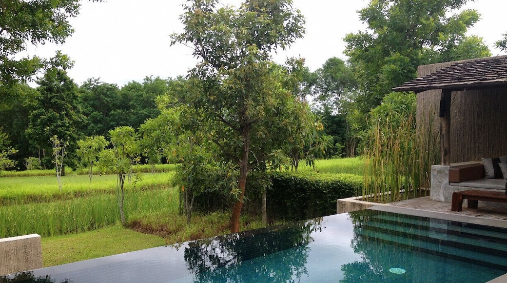 #TroveOn Vast lush greenery surrounded by mountains, and in the midst of that is your very own luxurious pool villa. Just about a 3-hour drive from Bangkok, Muthi Maya is located a stone’s throw away from a UNESCO World Heritage Site, the Khao Yai National Park. Peaceful, serene and tranquil, this is one of my favorite places for a mini-break in Thailand.
You can read more here: http://www.spillingthebeans-ng.com/muthi-maya
#waterlust #thailand #khaoyai #weekendgetaway