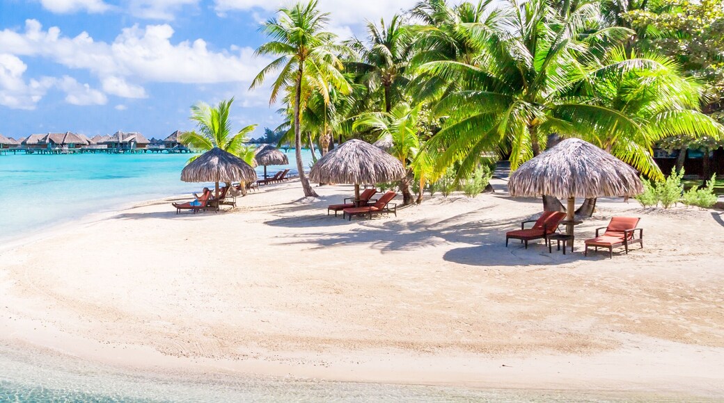 Bora Bora Island, French Polynesia. Web banner in panoramic view.