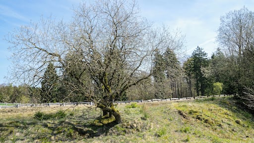Naturschutzgebiet Bleikuhlen in Marsberg; ehemaliges Abbaugebiet von Bleierz und Schwermetallrasen