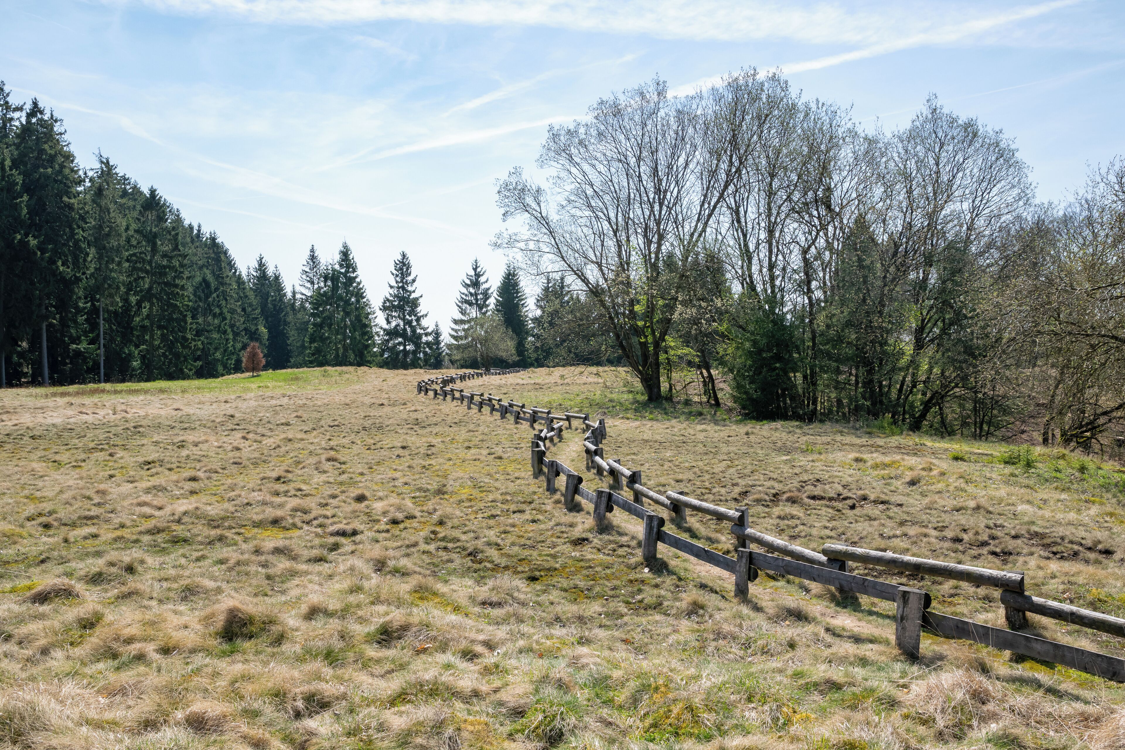 Naturschutzgebiete Bleikuhlen und Wäschebachtal in Warburg (links) sowie Bleikuhlen in Marsberg (rechts), hier der Schwermetallrasen an den Bleikuhlen