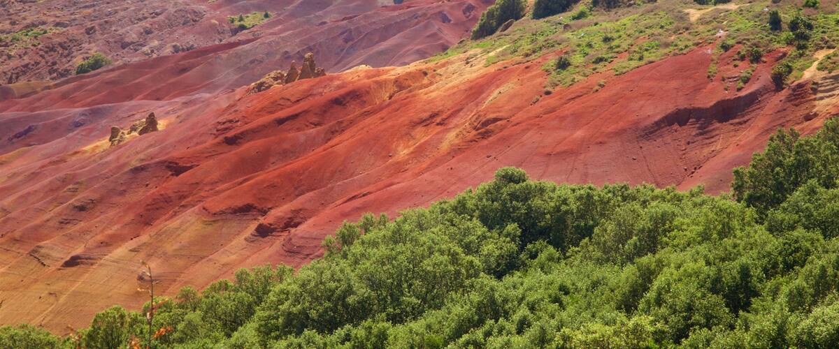 Norfolk Island which includes tranquil scenes and general coastal views