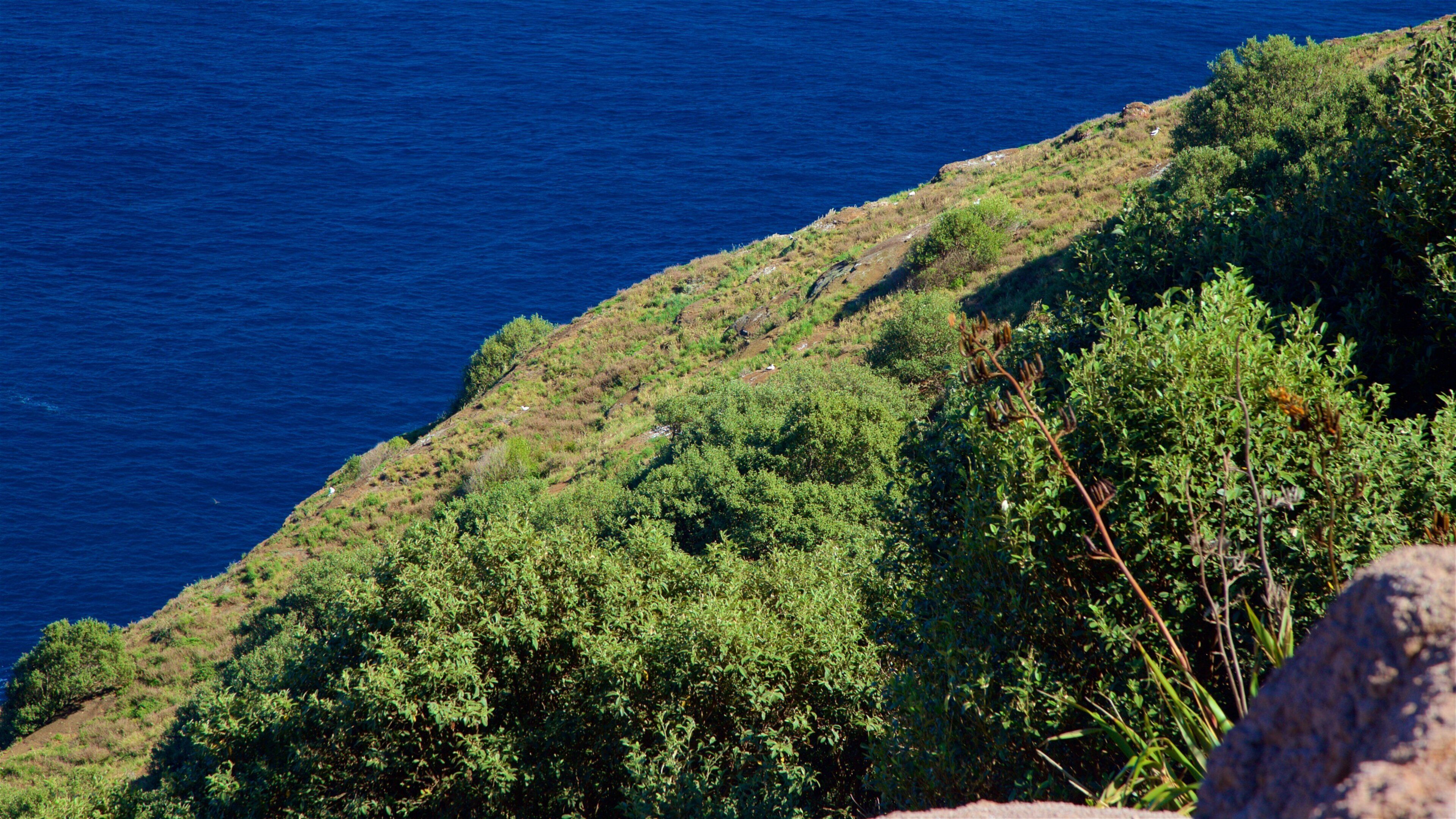 Norfolk Island showing general coastal views