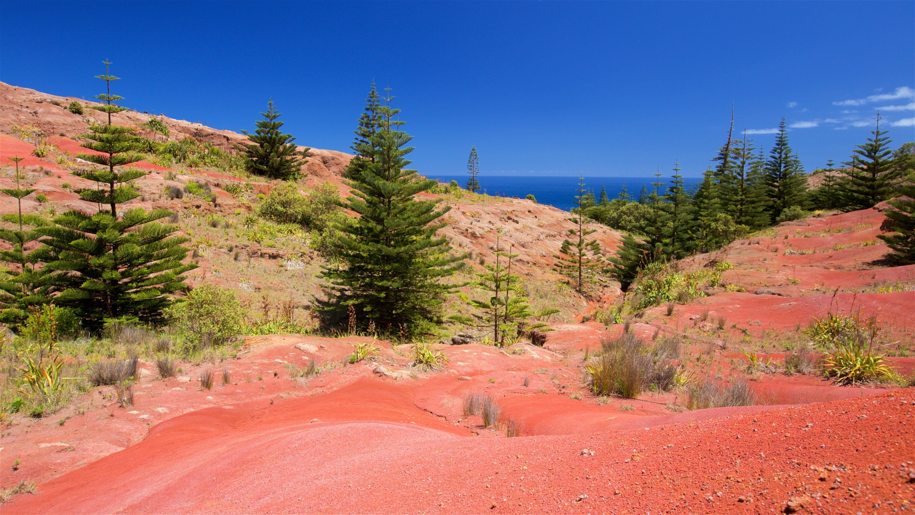Norfolk Island showing general coastal views and tranquil scenes