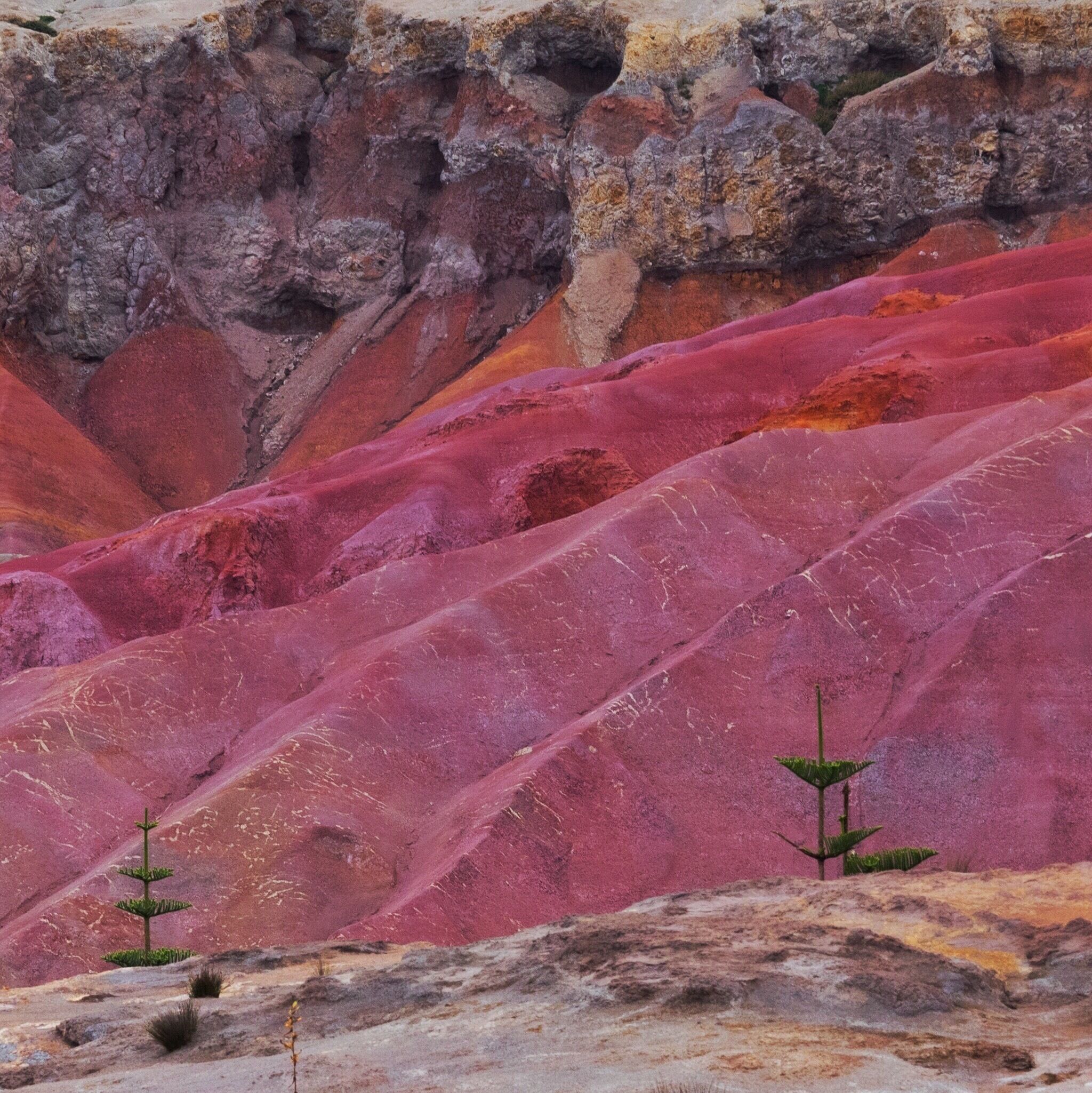 Un paisaje con formaciones rocosas en capas, en tonos rosados y rojos, y vegetación escasa.