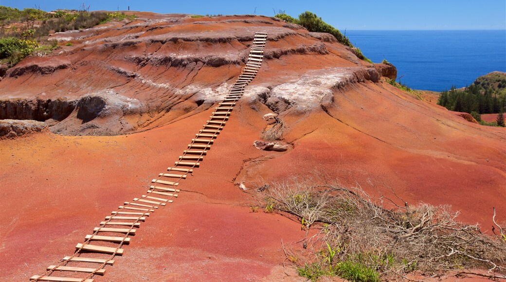 Norfolk Island featuring tranquil scenes and general coastal views