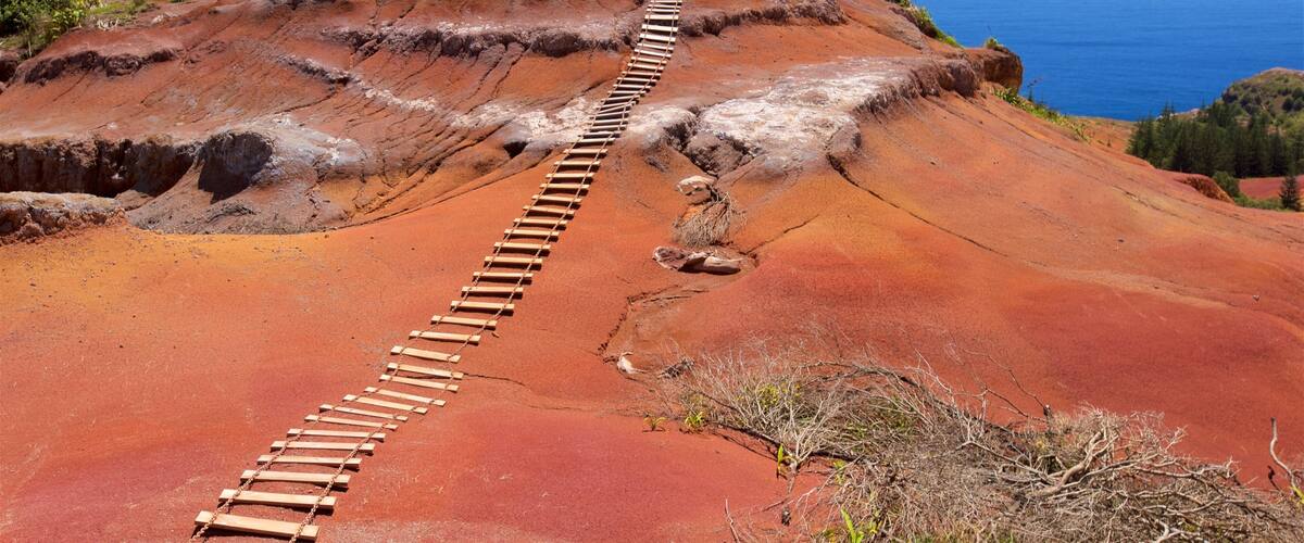 Norfolk Island featuring tranquil scenes and general coastal views