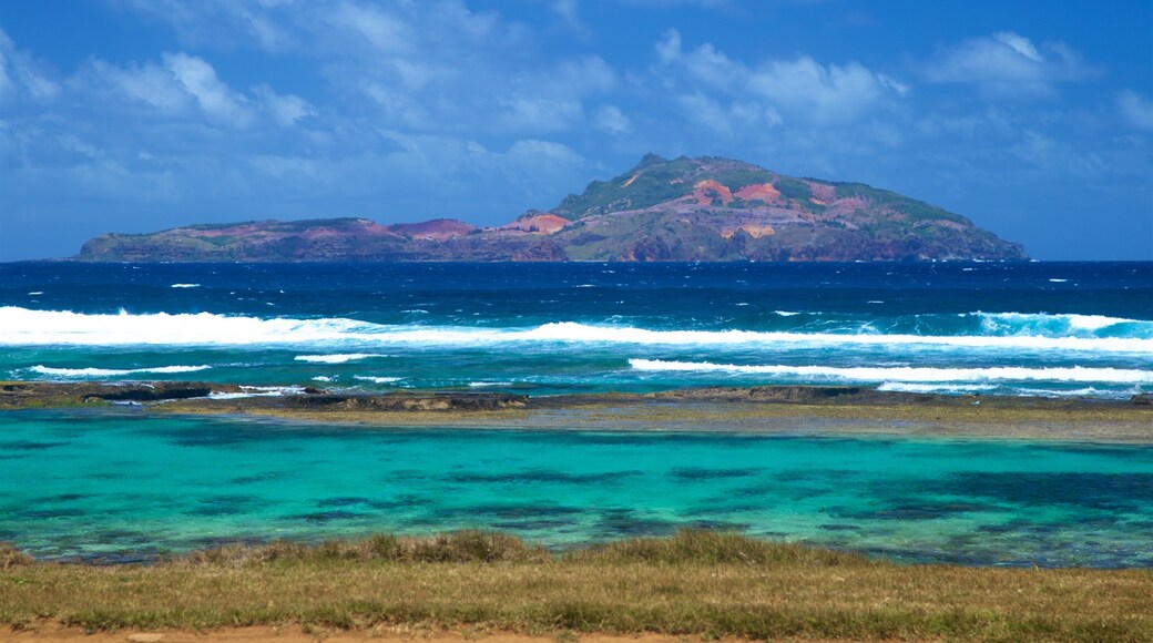 Phillip Island showing general coastal views and island images