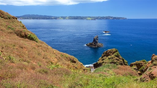 Ăle Norfolk montrant vues littorales