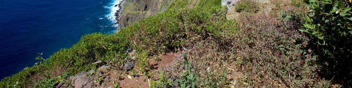 Norfolk Island featuring rugged coastline and general coastal views