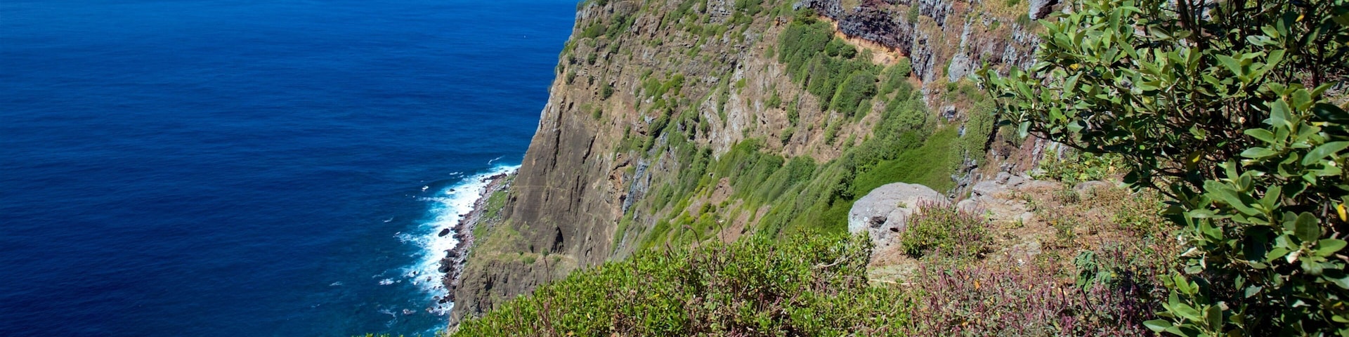 Norfolk Island featuring general coastal views and rugged coastline