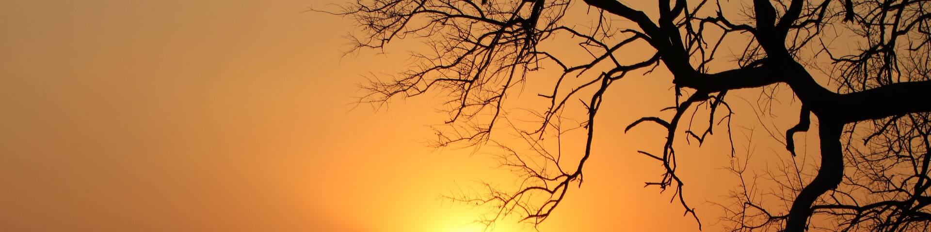The setting sun casts a glow on the canals of the Namushasha.