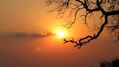 The setting sun casts a glow on the canals of the Namushasha.