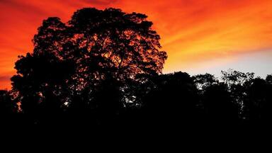 This is near a lake in Hettipola. The sky looked gorgeous and I enjoyed it a lot. Hope you too enjoy it.