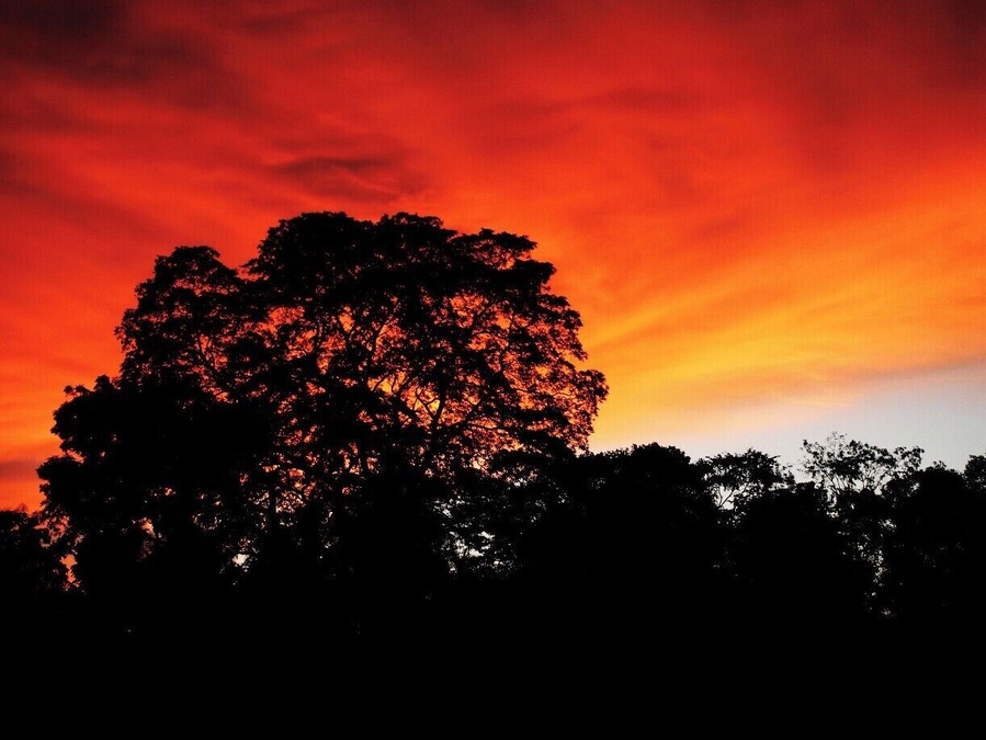 This is near a lake in Hettipola. The sky looked gorgeous and I enjoyed it a lot. Hope you too enjoy it.
