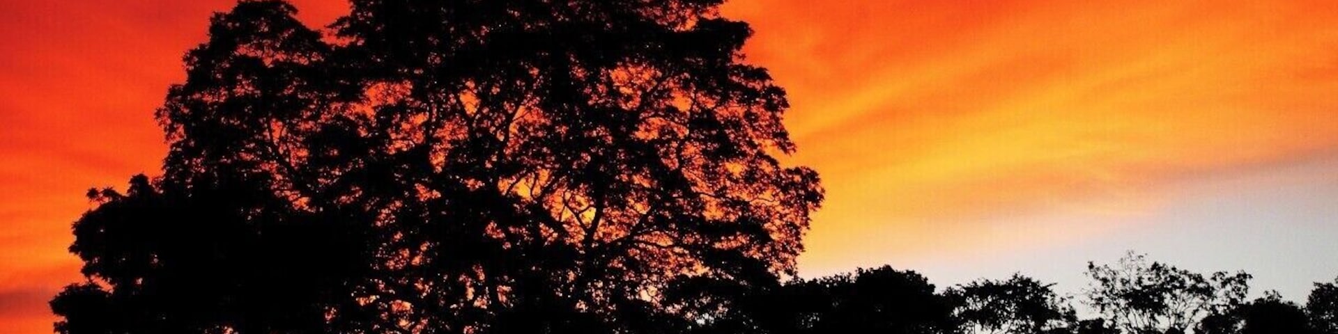 This is near a lake in Hettipola. The sky looked gorgeous and I enjoyed it a lot. Hope you too enjoy it.