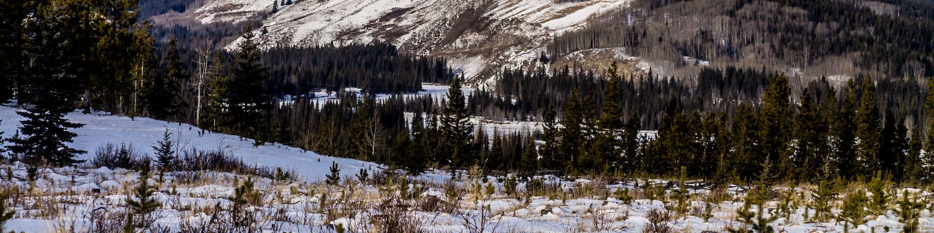 Winter gets it's first dusting of snow, Waiprous Village, Alberta, Canada