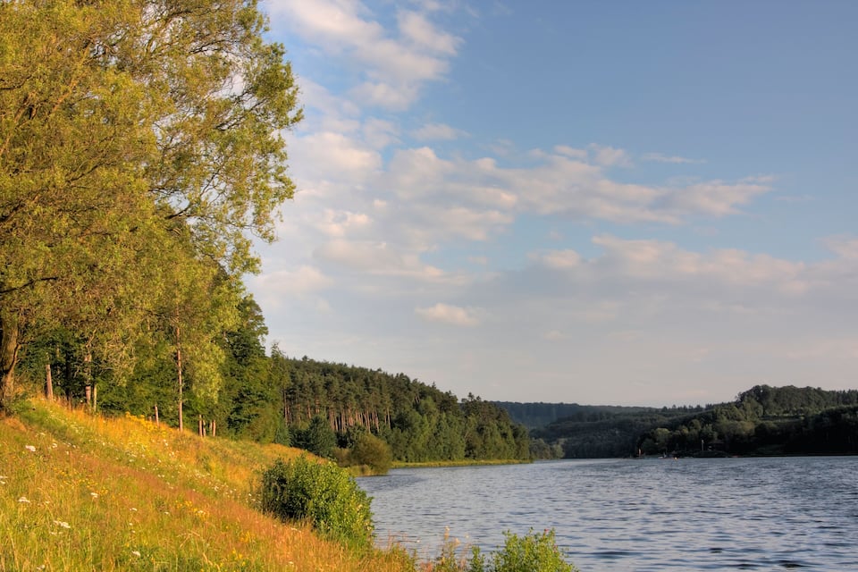 A calm lake surrounded by dense forests and a clear sky.