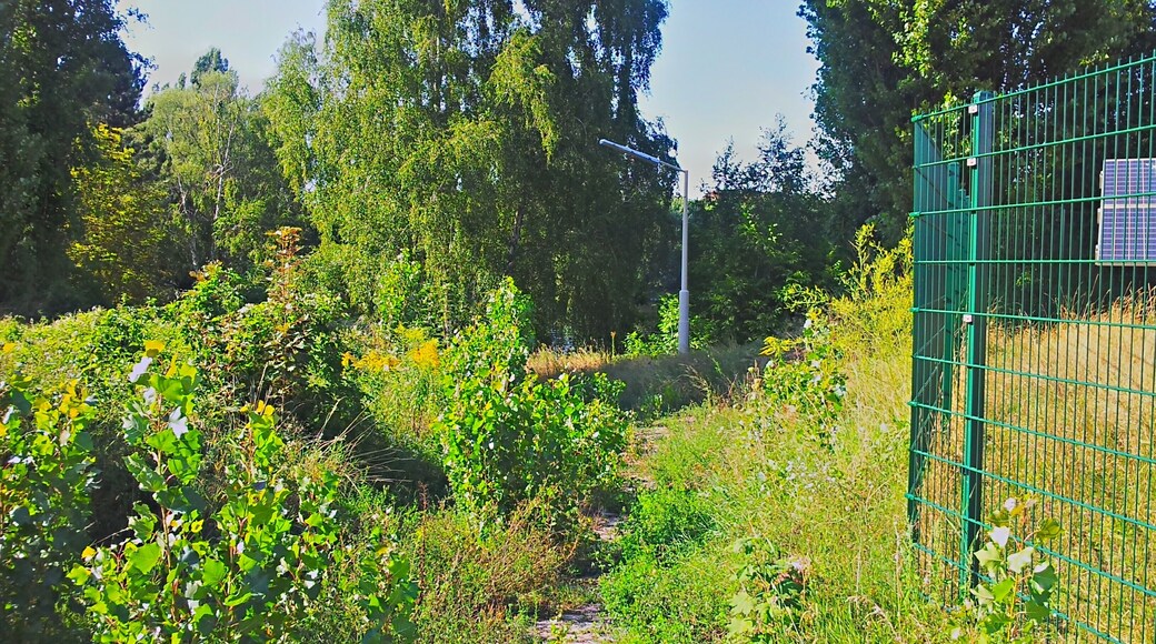 Gelände ehem. Gaswerk Mariendorf