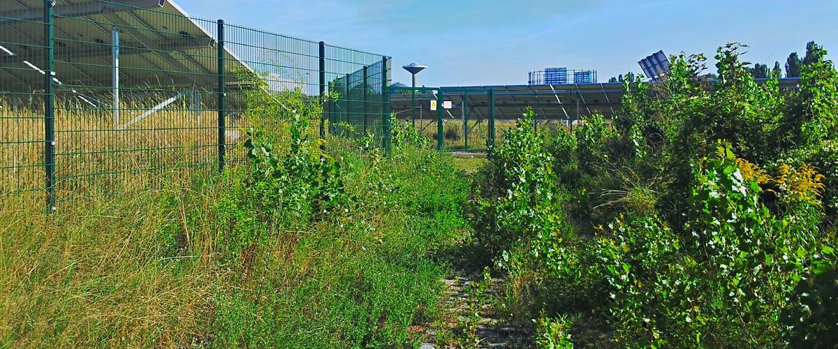 Solarpark ehem. Gaswerk Mariendorf