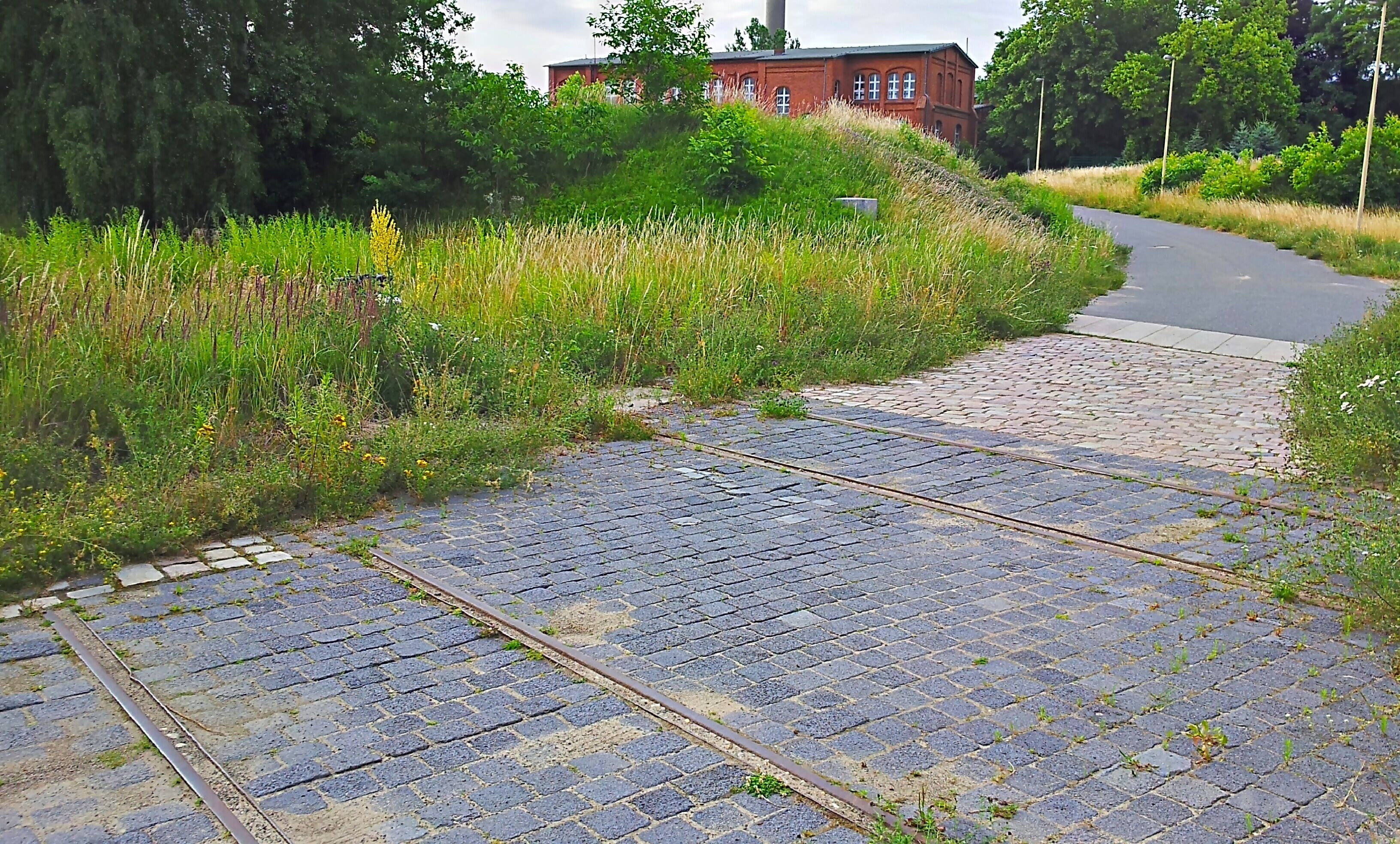 Gleise, die ins Nichts führen: Gleisreste Gaswerk Mariendorf