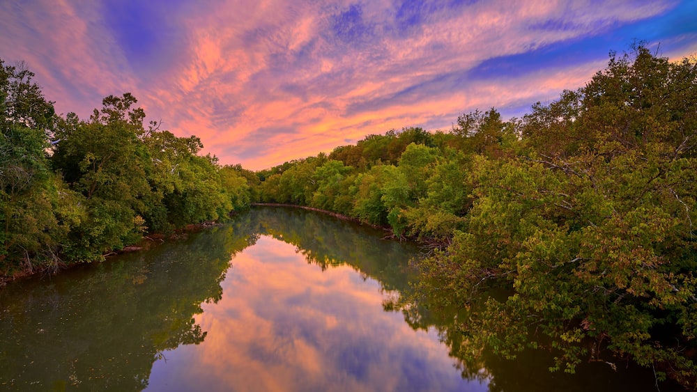 A river reflecting the sky, surrounded by dense greenery.