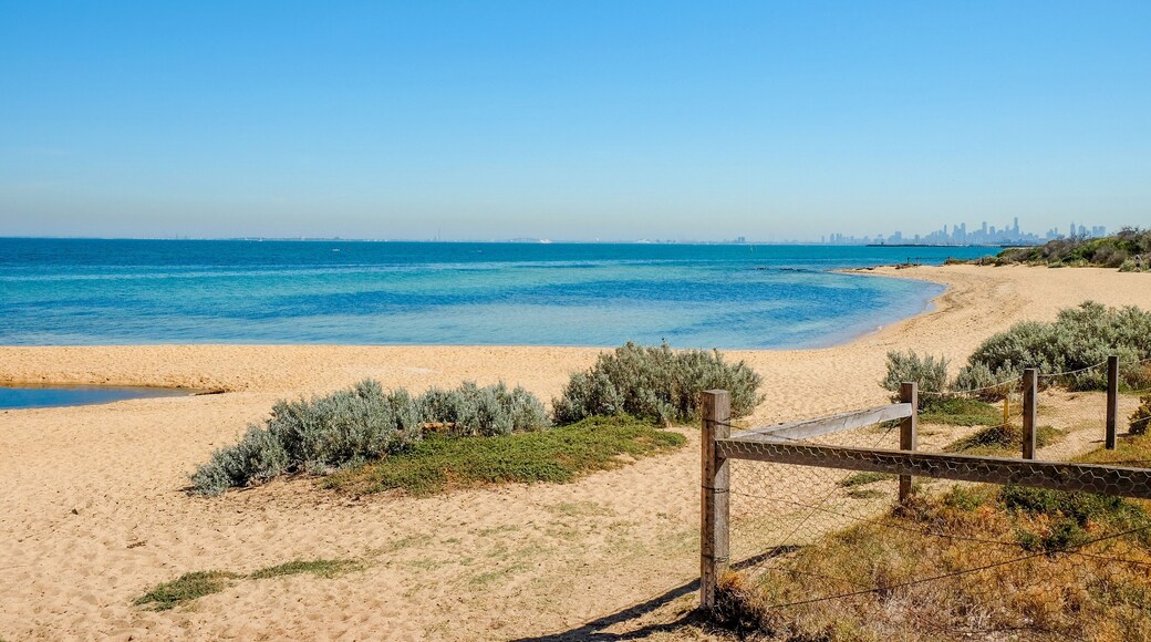 ๋ธ๋ผ์ดํด ์ด์คํธ