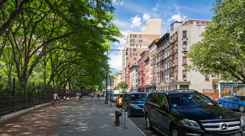 Lower East Side showing street scenes