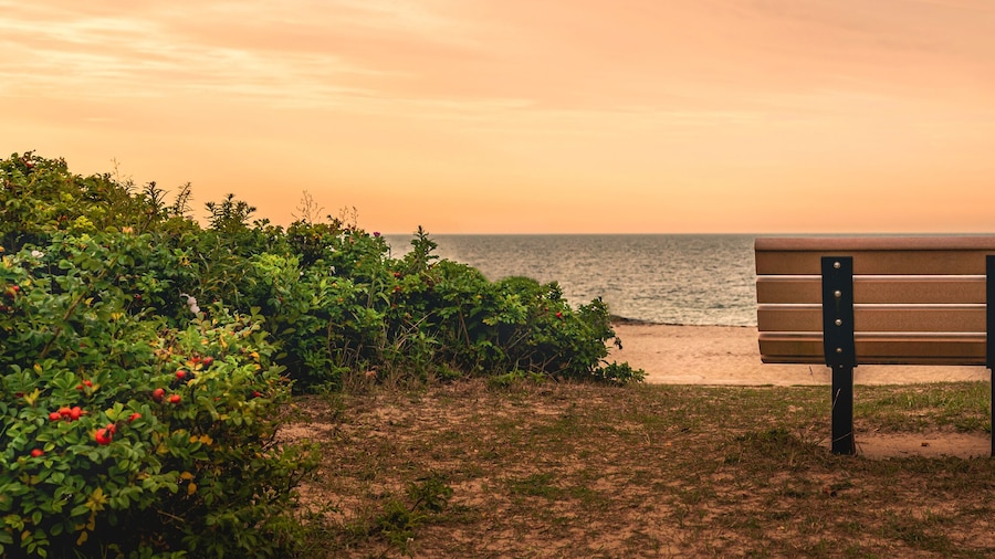Playa de Falmouth Heights