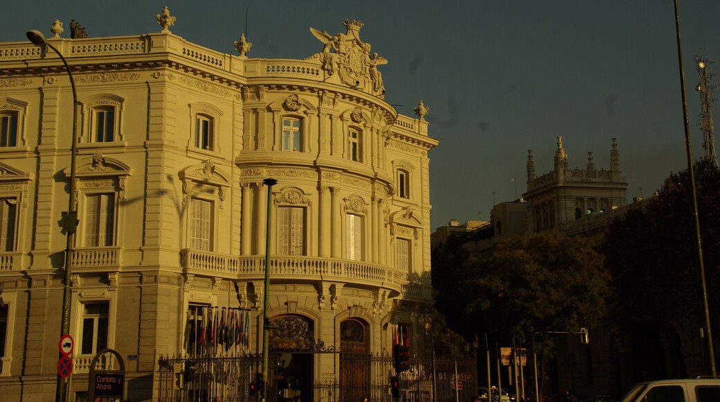 ® S.D. MADRID ARTECTURA - PALACIO DE LINARES