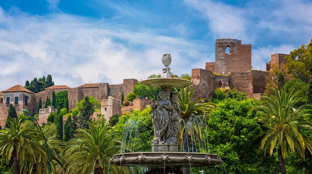 เขต Palma-Palmilla