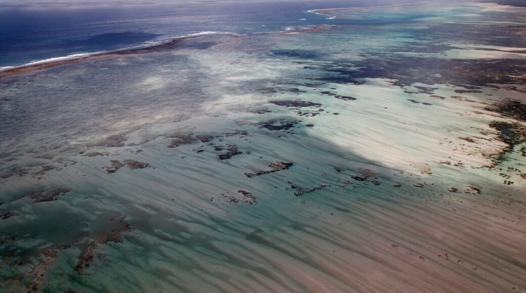 Región de Zanzíbar Central/Sur