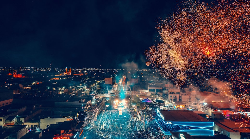 Feria Nacional de San Marcos