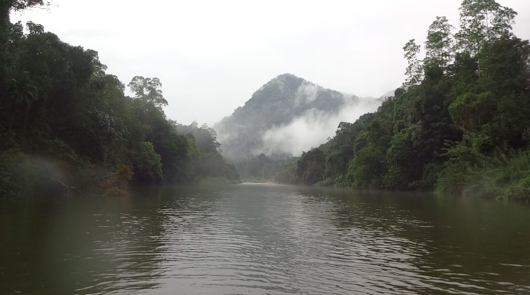 Kelani Ganga River near Kitulgala in Sri Lanka