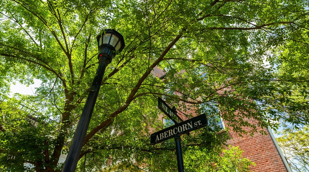 Reynolds Square Savannah