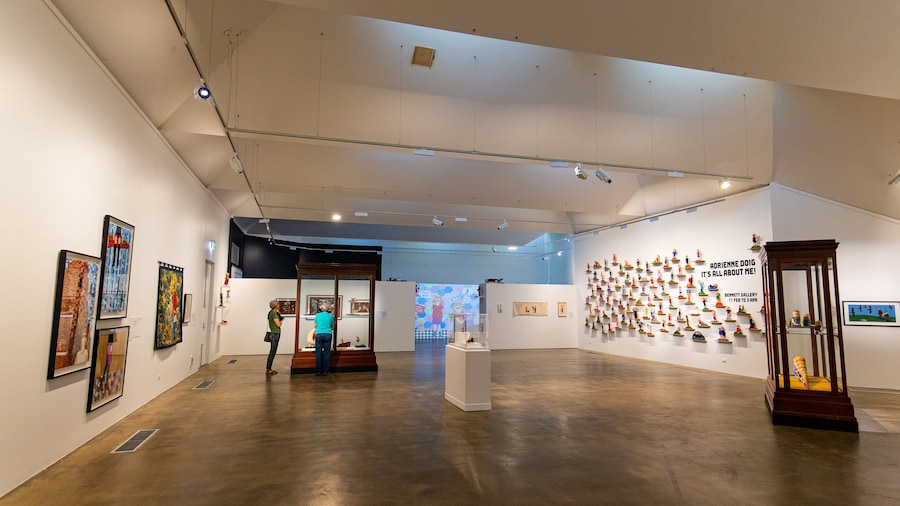 Benalla Art Gallery showing art and interior views