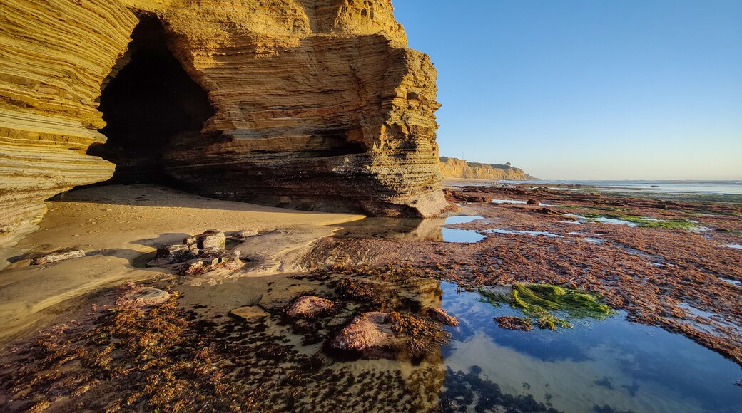 Sunset Cliffs