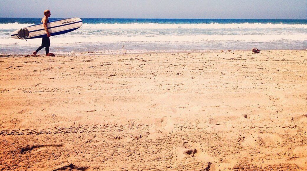 Tourmaline Surfing Park