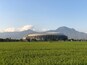 The beauty of the Gelora Bandung Lautan Api Stadium with a view of rice fields and mountains in Bandung