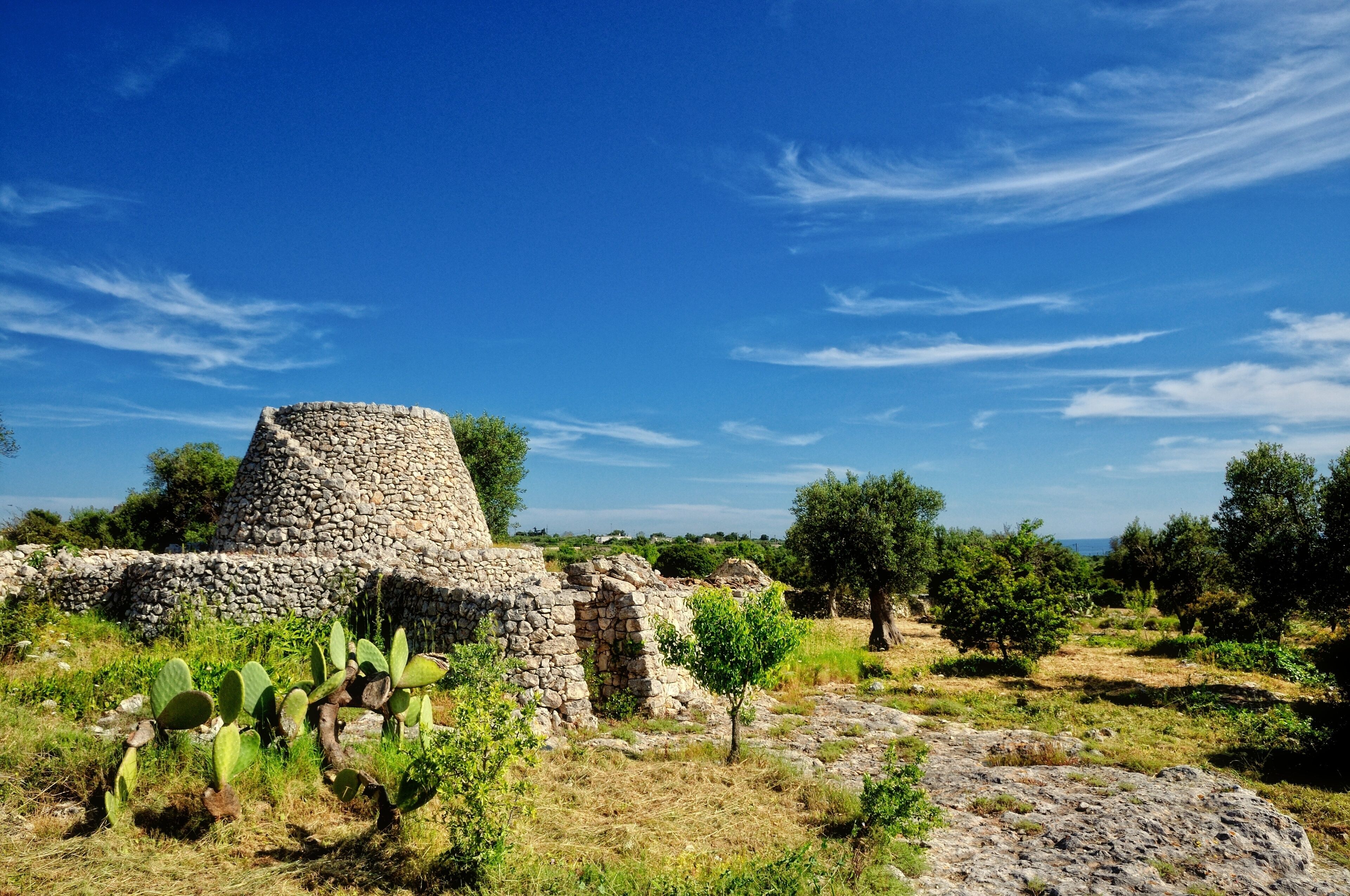 A stone ruin with a conical structure surrounded by cacti and olive trees under a clear blue sky.