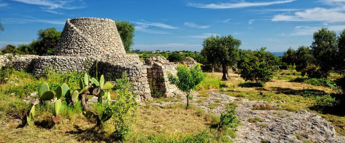 A stone ruin with a conical structure surrounded by cacti and olive trees under a clear blue sky.