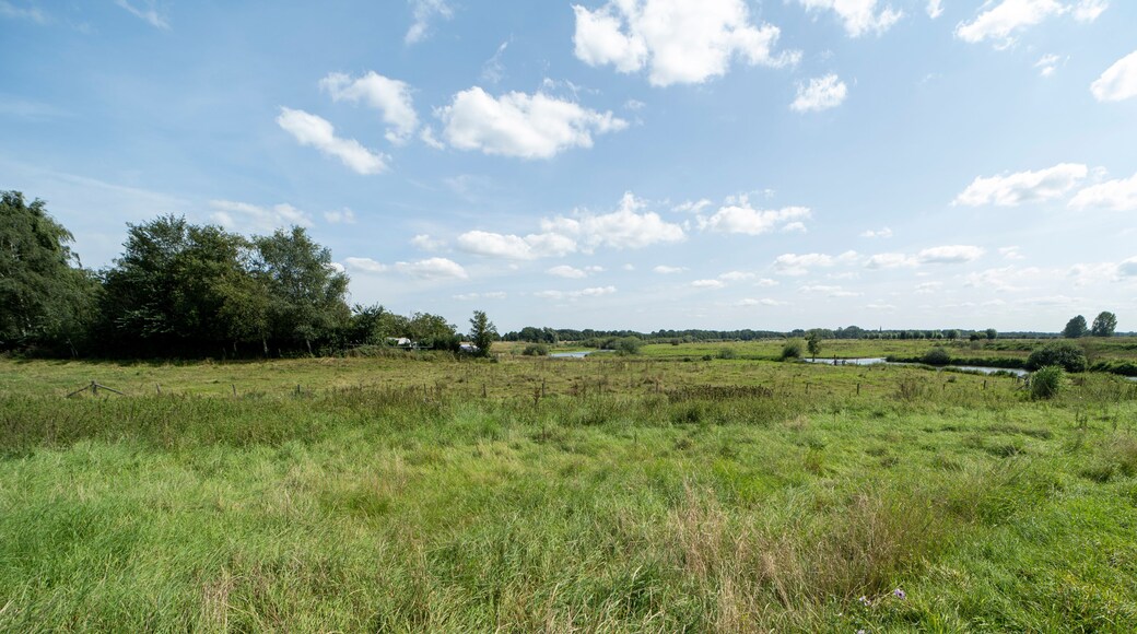 Summer day landscape near Gennep, The Netherlands