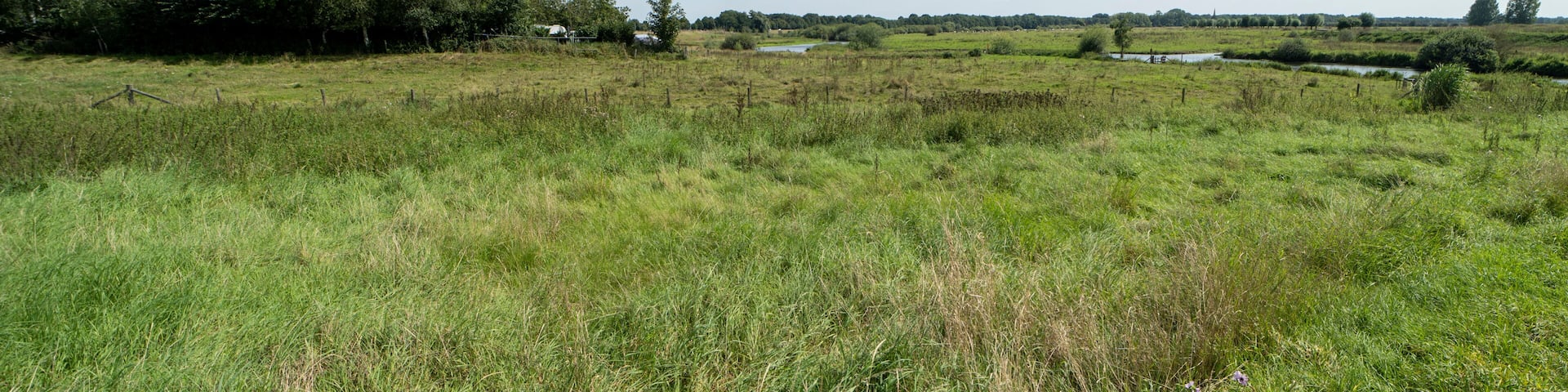 Summer day landscape near Gennep, The Netherlands