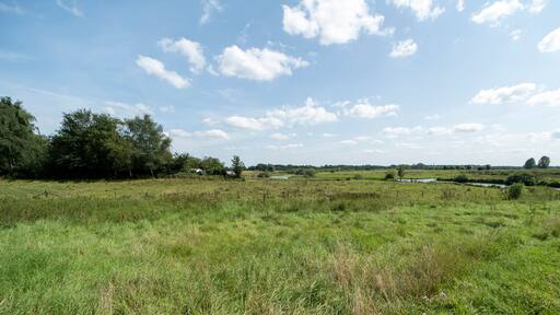 Summer day landscape near Gennep, The Netherlands