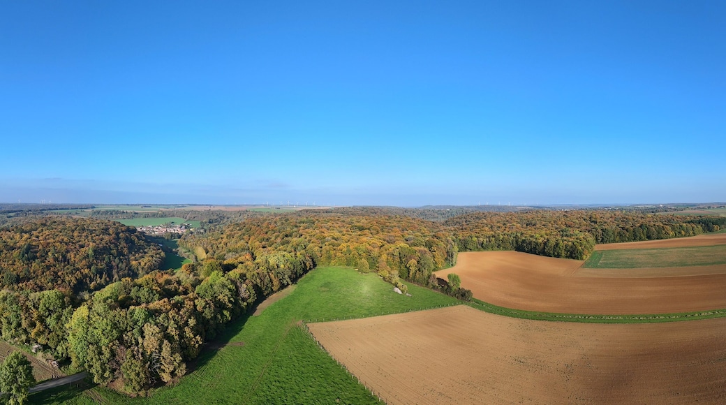 vue aérienne panoramique autour du village de Colmey en Meurthe et Moselle , Lorraine. Paysage campagnard sur les champs et les forêts au début de l'automne