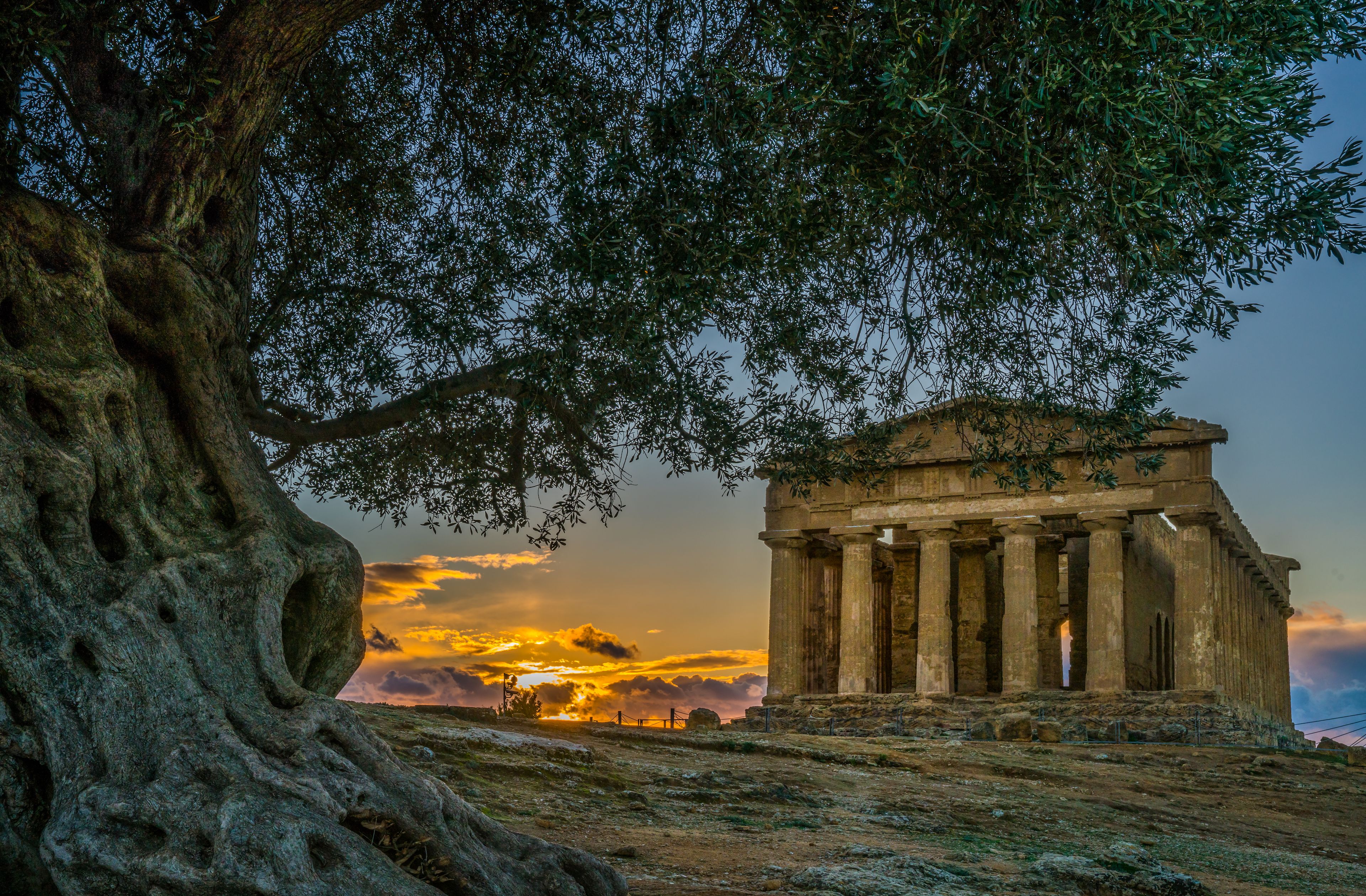 An ancient Greek temple with columns, surrounded by a large tree and a sunset in the background.